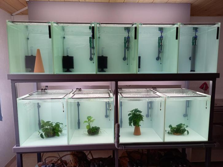 batterie aquarium, Dieren en Toebehoren, Vissen | Aquaria en Toebehoren, Zo goed als nieuw, Leeg aquarium, Ophalen