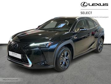 Lexus UX 250h Business Line Plus  beschikbaar voor biedingen