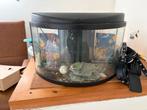 Aquarium met accessoires, Dieren en Toebehoren, Vissen | Aquaria en Toebehoren, Ophalen, Zo goed als nieuw