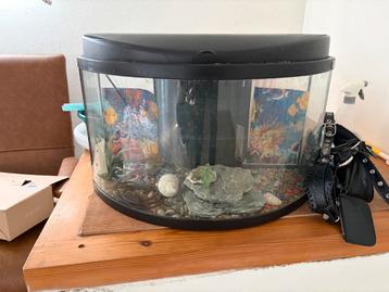 Aquarium met accessoires beschikbaar voor biedingen