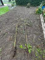 Saule pleureur, Jardin & Terrasse, Enlèvement