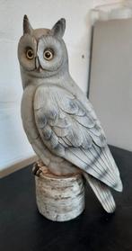 Decoratieve uil, Enlèvement, Animal
