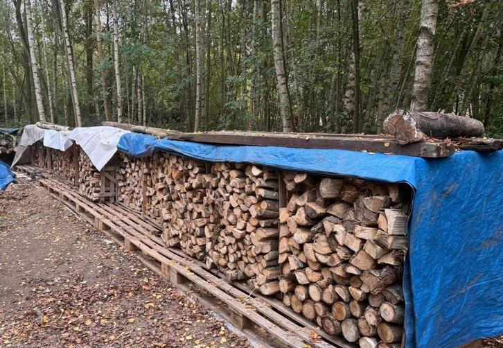 Bois de chauffage fendu, commandez maintenant pour hiver '26, Jardin & Terrasse, Bois de chauffage, Bûches, Autres essences de bois