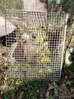 Rooster gegalvaniseerd robuust, Ophalen