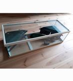 Schildpaddenterrarium/aquarium, Dieren en Toebehoren, Reptielen en Amfibieën | Toebehoren, Ophalen