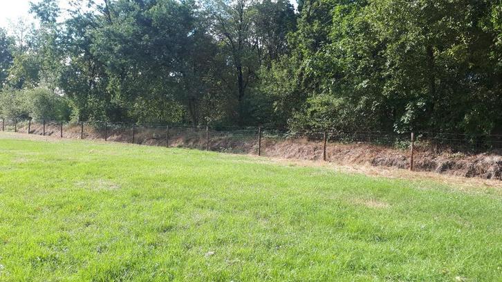 Te huur weide met stalcontainer, Dieren en Toebehoren, Stalling en Weidegang