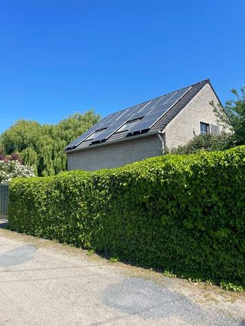 Appartement te huur in Lievegem, 1 slpk beschikbaar voor biedingen