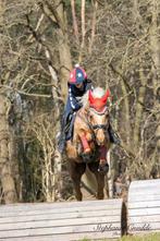 Veelzijdige pony merrie, Dieren en Toebehoren, Merrie, B, Gechipt, Springpony