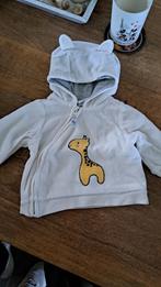 Baby kleding maat 50 -56, Kinderen en Baby's, Ophalen of Verzenden, Jongetje, Woody, Overige typen