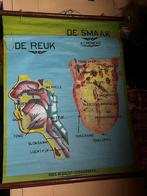 Oude les kaart De Reuk & De Smaak, Enlèvement ou Envoi, Comme neuf