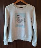 Leuke sweater van JBC maat S, Groggy by JBC, Ophalen of Verzenden, Maat 36 (S), Grijs