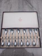 12 delig lepel setje, Ophalen of Verzenden