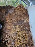 Gratis paardenmest zuiver, Ophalen