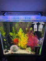 Aquarium te koop, Dieren en Toebehoren, Ophalen, Zo goed als nieuw