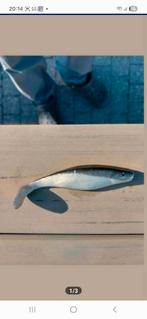 Shads 12 cm voor roofvis, Watersport en Boten, Ophalen