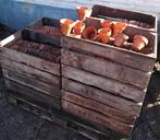 Pot potjes oude stenen potjes decoratie, Enlèvement