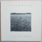 Fritz Van Damme - Veldwerk - 2004 - De Fictieve, Ophalen of Verzenden, Zo goed als nieuw, Fritz Van Damme