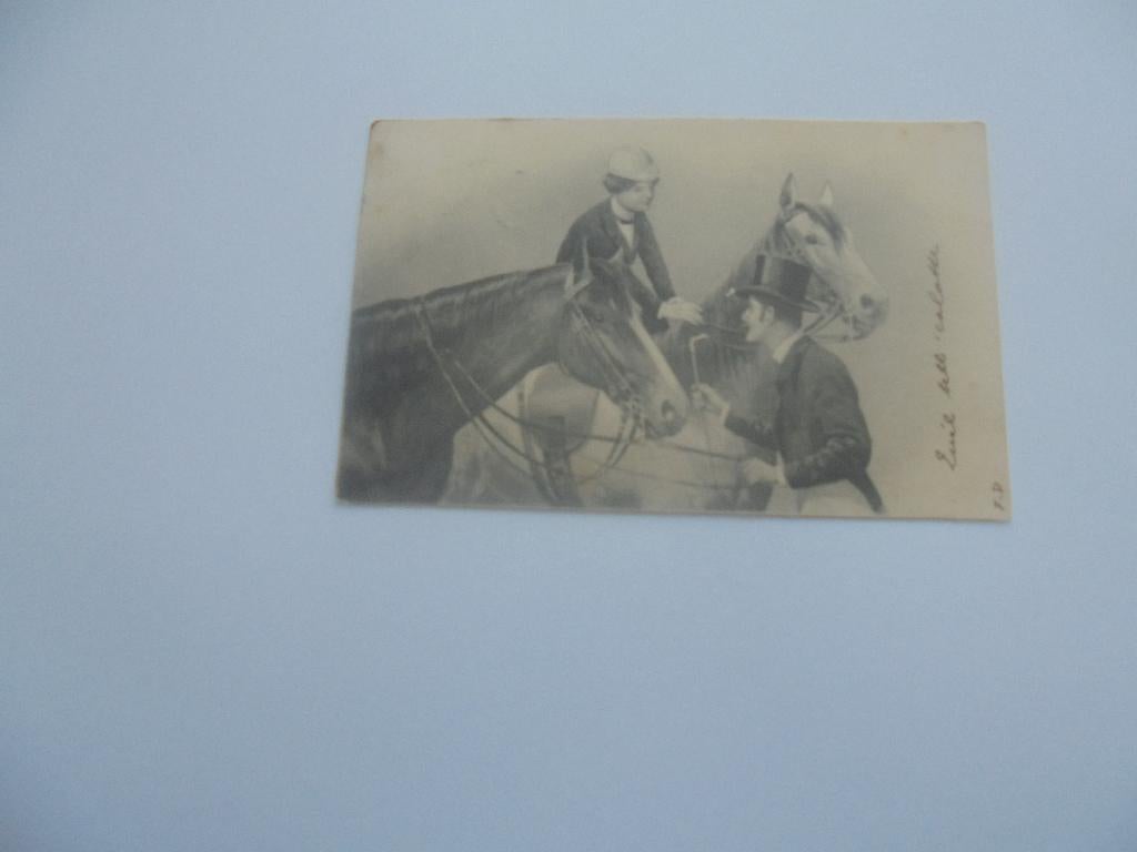 paarden  - 10 postkaarten, Collections, Cartes postales | Animaux, Envoi, 1920 à 1940, Affranchie