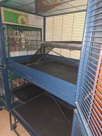 Royal suite kooi te koop, Dieren en Toebehoren, Ophalen, Kooi, Gebruikt, Eekhoorn