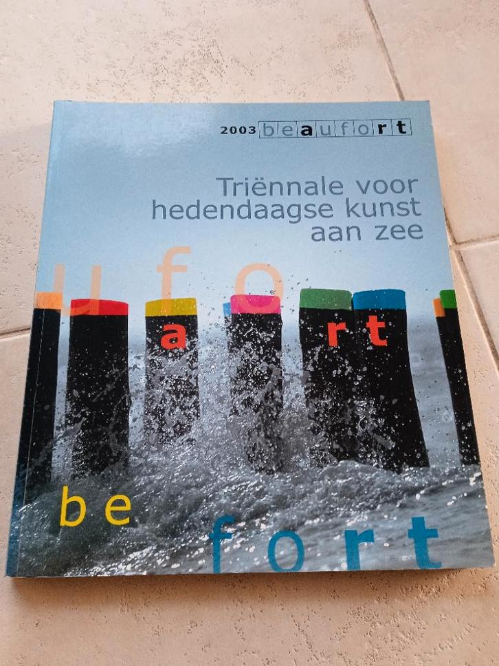 Boek Triënnale voor hedendaagse kunst 2003, Boeken, Kunst en Cultuur | Beeldend, Ophalen