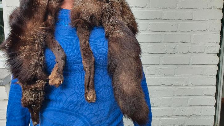 Vintage bontstola / bontsjaal, Kleding | Dames, Mutsen, Sjaals en Handschoenen, Gedragen, Sjaal, Ophalen