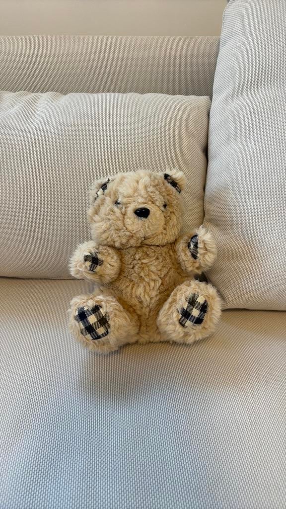 teddy bear, Ophalen, Zo goed als nieuw