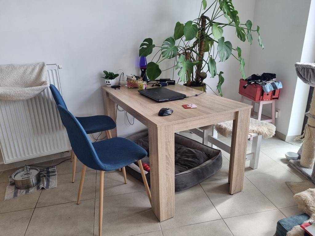Eettafel plus evt stoelen & houten bankje, Ophalen, Gebruikt, 100 tot 150 cm, 50 tot 100 cm