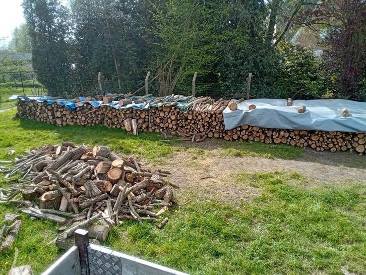 Brandhout van wilg, Tuin en Terras, Brandhout, Ophalen