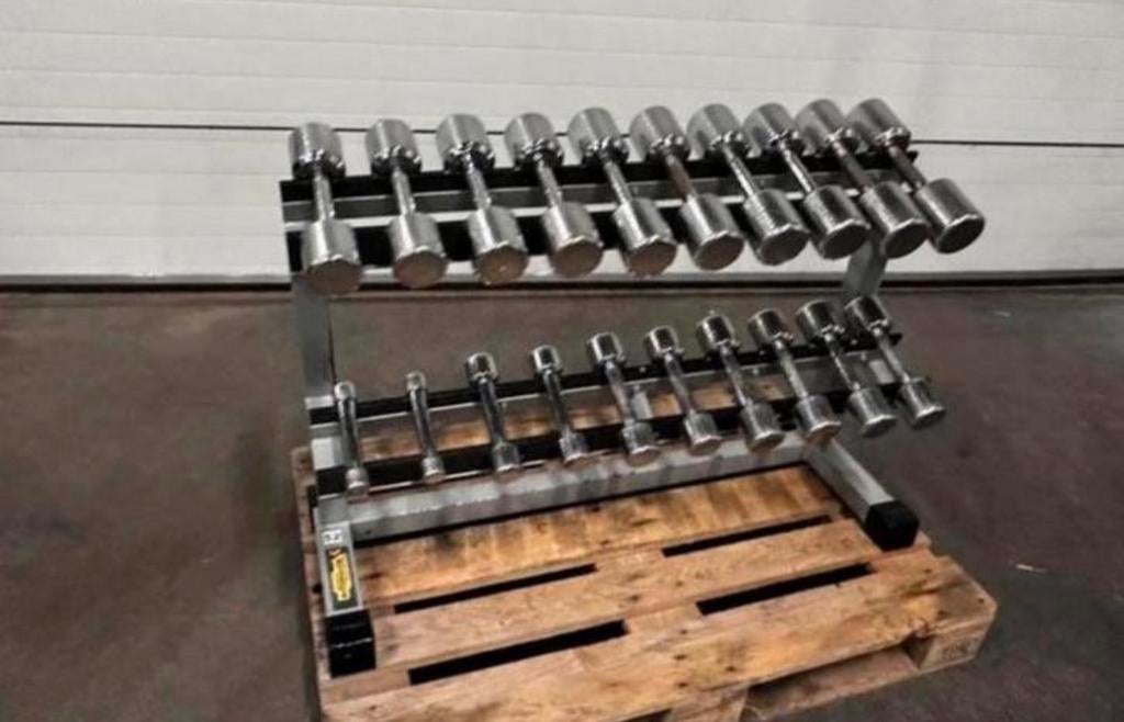 Technogym Dumbells 1kg t/m 10kg + Technogym Opbergrek, Sport en Fitness, Fitnessmaterialen, Gebruikt, Dumbbell, Ophalen