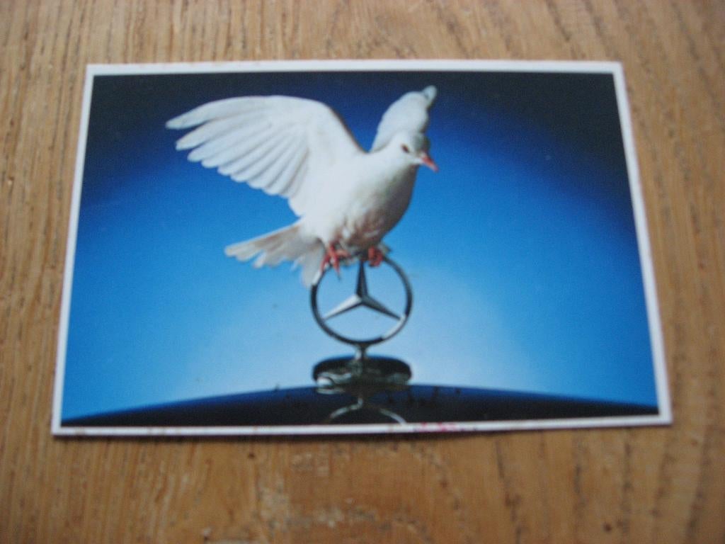 Sticker Mercedes-Benz Hulde aan de automobiel 9,5 x 6,5 cm, Verzamelen, Ophalen of Verzenden, Nieuw, Auto of Motor