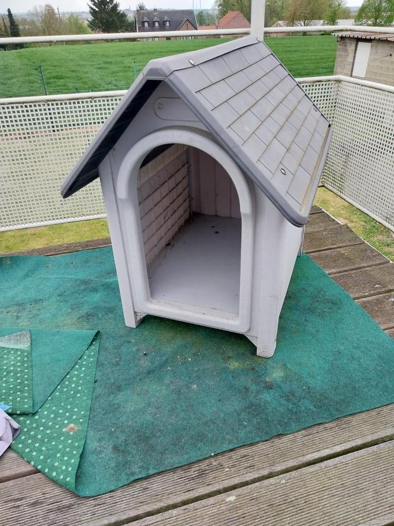 Niche extérieure pour chien, Animaux & Accessoires, Maisons pour chiens, 65 à 100 cm, Enlèvement, Moins de 75 cm, Niche à chien