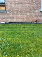 Stihl HT 131 Stokzaag, Enlèvement, Utilisé