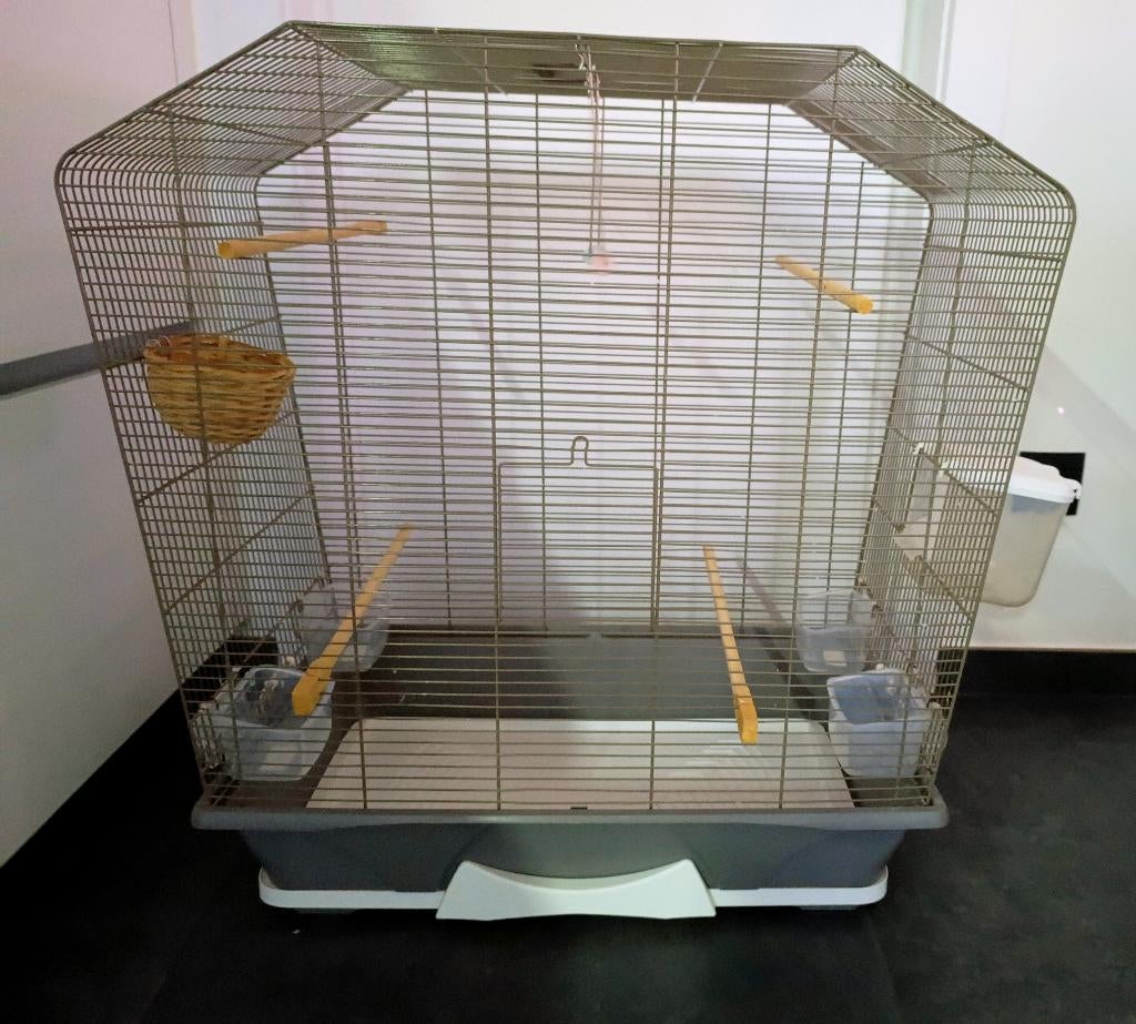 Grote vogelkooi, Ophalen, Vogelkooi