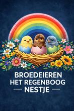 Kleurlegger broedeieren, Dieren en Toebehoren, Geslacht onbekend, Kip