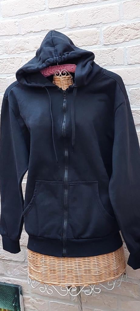 Swaeter maat l zeeman, Kleding | Dames, Truien en Vesten, Overige kleuren, Zeeman, Maat 42/44 (L), Ophalen of Verzenden