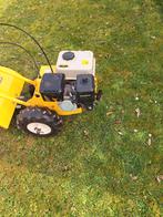 Tuinfrees, Ophalen, Benzine, Gebruikt, Powerplus