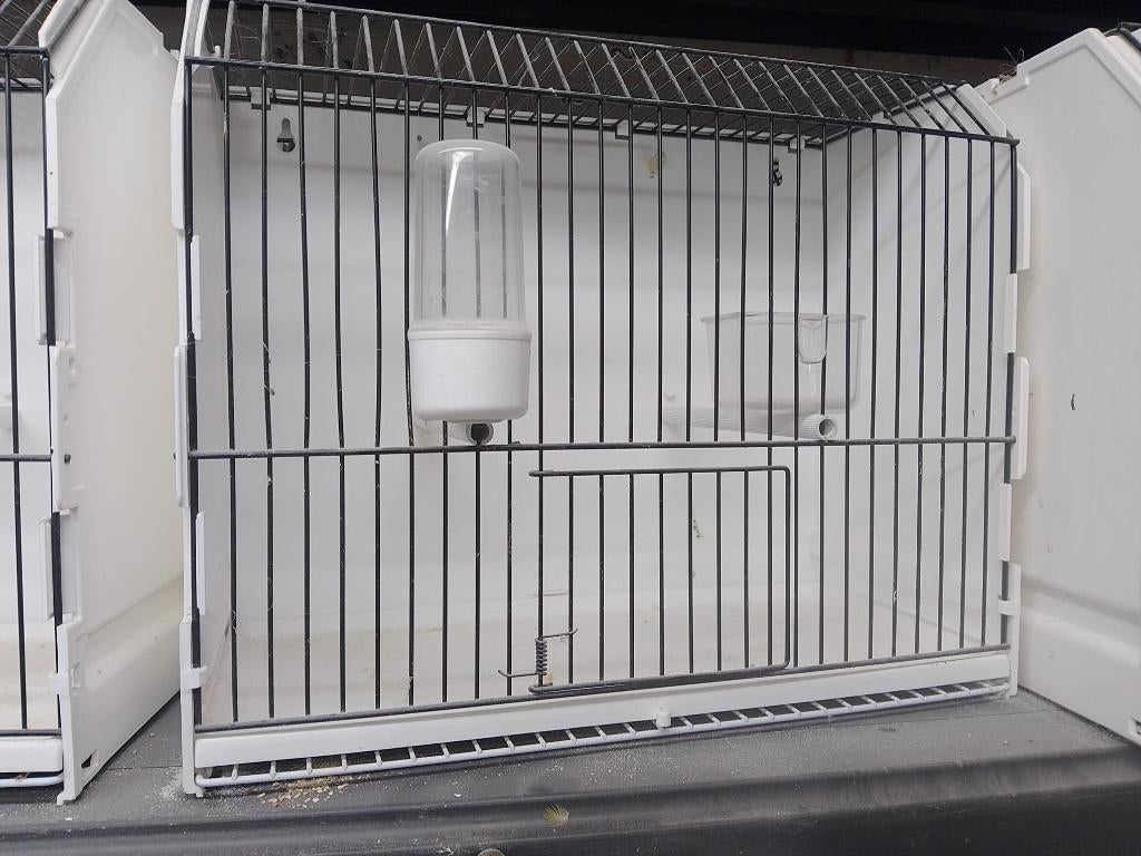 Tentoonstelling kooien, Ophalen, Zo goed als nieuw, Kunststof, Vogelkooi