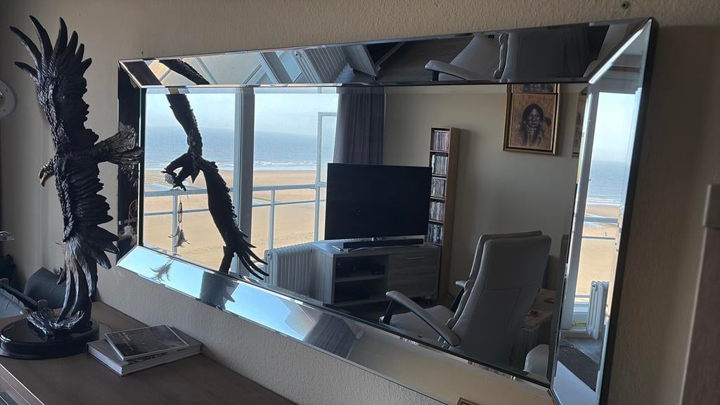 Grote spiegel, Huis en Inrichting, Woonaccessoires | Spiegels, Ophalen, 125 cm of meer, Zo goed als nieuw, Minder dan 100 cm