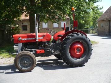 Tractor  MF  135 beschikbaar voor biedingen