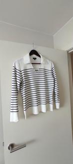 Trui, Kleding | Dames, Truien en Vesten, Ophalen of Verzenden, Zo goed als nieuw, Maat 42/44 (L)