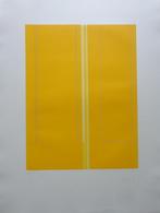 LUC PEIRE / GEOMETRISCHE ABSTRACTIE / KLEURETS / 61x46cm SIG, Antiek en Kunst, Kunst | Litho's en Zeefdrukken, Ophalen of Verzenden
