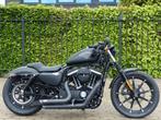 Harley Iron 883, 883 cm³, 2 cylindres, Plus de 35 kW, Chopper