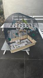 Ensemble : grande cage+petite cage+4 perruches+nourriture, Comme neuf, Enlèvement, Métal, Cage à oiseaux