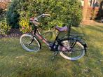 Kinderfiets Alpina 20inch, Fietsen en Brommers, Ophalen, Gebruikt, Alpina Meisjesfiets, Handrem