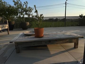 SALONTAFEL TEAK BALI IBIZA, Huis en Inrichting, Ophalen, Gebruikt, 50 tot 100 cm, 150 tot 200 cm