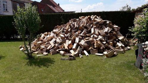 Bois de chauffage 2025, Tuin en Terras, Brandhout, Blokken, Beukenhout, 6 m³ of meer, Verzenden