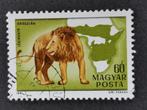 Hongrie 1981 - lion et carte de l'Afrique, Timbres & Monnaies, Timbres | Timbres thématiques, Animal et Nature, Affranchi, Enlèvement ou Envoi