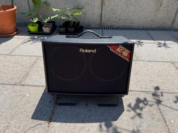 Roland AC90, Enlèvement, Utilisé, Guitare, 50 à 100 watts