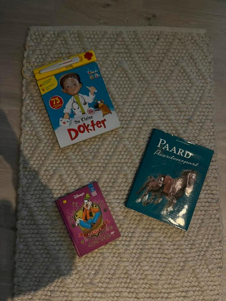 Interessante informatieboeken voor 12+, Boeken, Informatica en Computer, Zo goed als nieuw, Ophalen