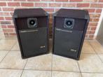 Paar passieve Fenton SRC12-luidsprekers, Audio, Tv en Foto, Luidsprekerboxen, Gebruikt, 120 watt of meer, Front, Rear of Stereo speakers